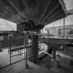 “75.9”: Árboles de hormigón para dar vida a una vivienda única