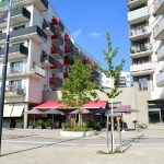 Enfoque de género y planificación urbana en Viena: el nuevo suburbio diseñado por y para mujeres