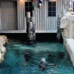 Uso del shotcrete artístico en la fabricación de exhibiciones