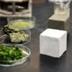 Científicos estadounidenses incorporan algas para reducir la huella de CO2 del hormigón